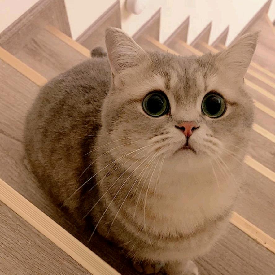 纪浮生