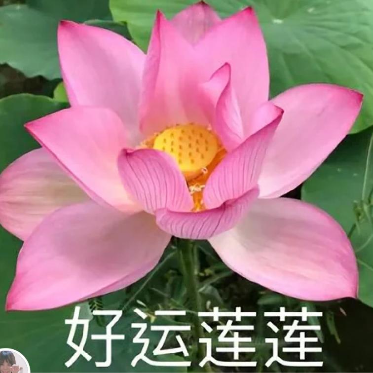 往后余生平安健康快乐，
