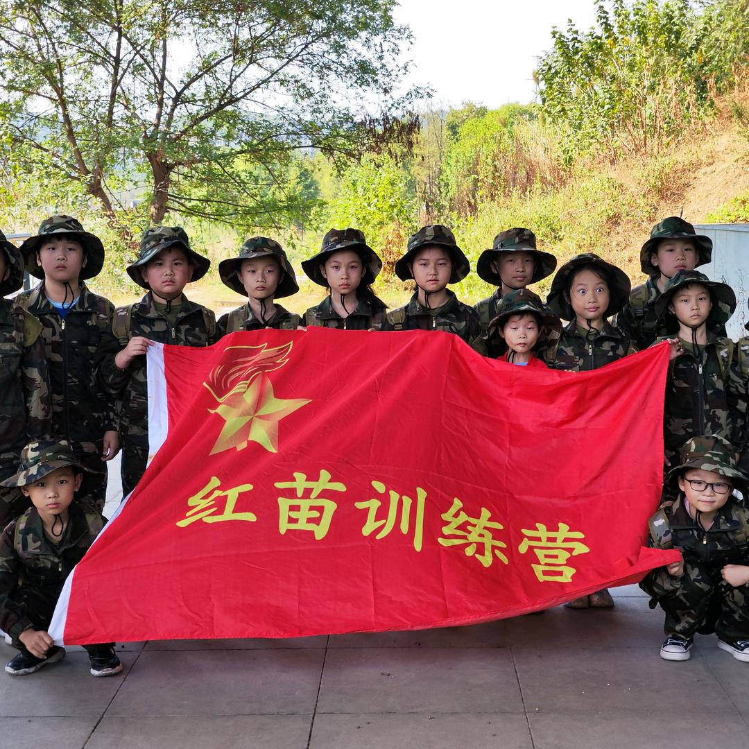 红苗训练营