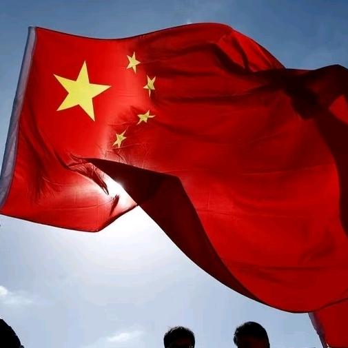 上海，陆渡教练