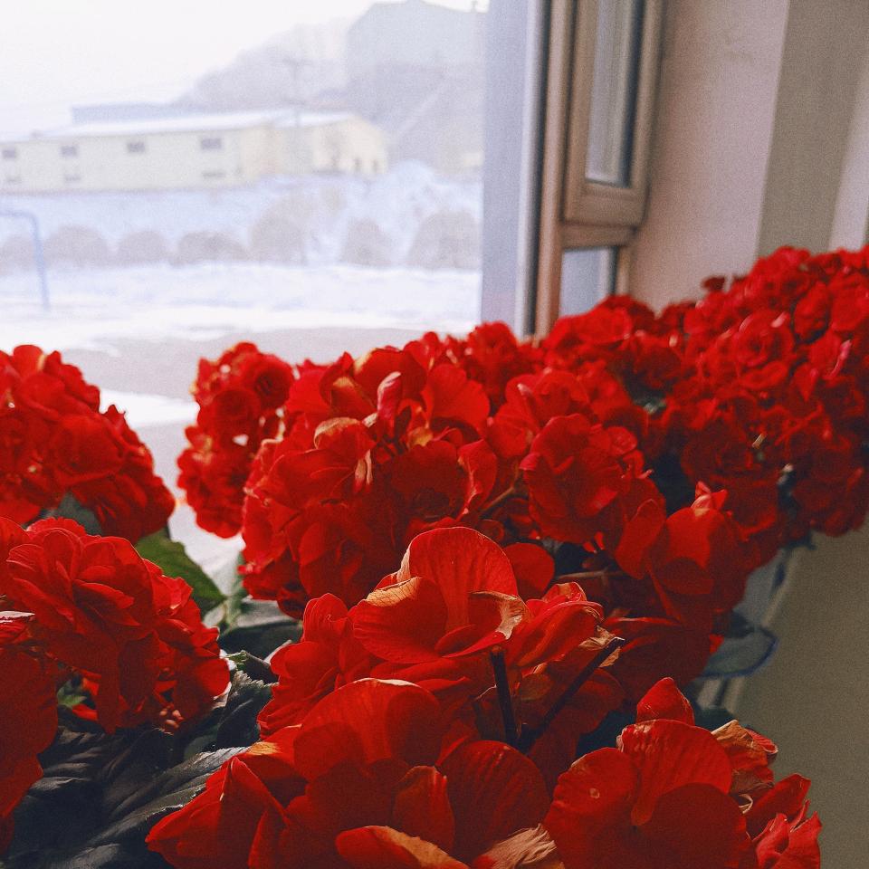 🍁平淡一生🍁