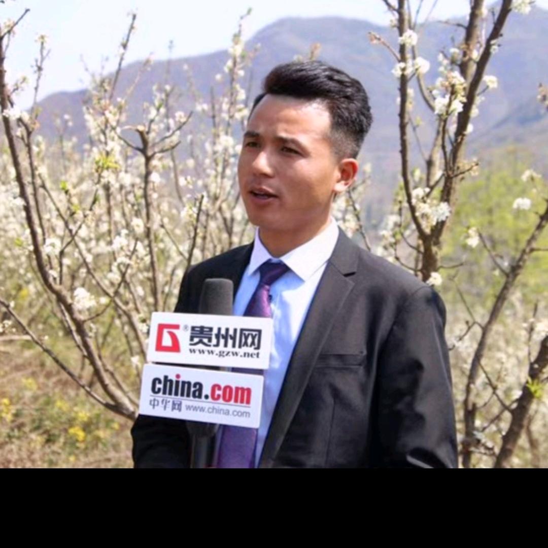 春权蜂糖李专营店