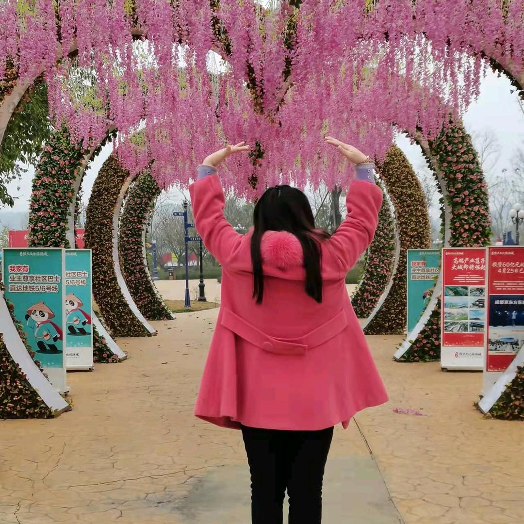 浴火重生，凤凰展翅