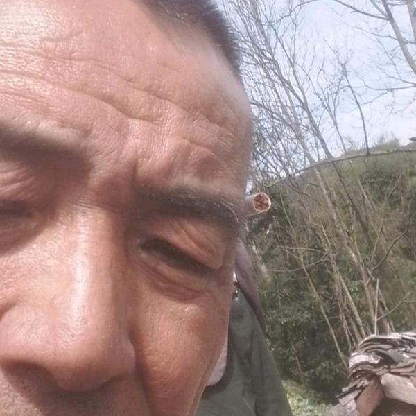 用户3247334806048