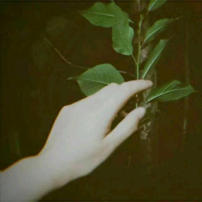 Ti   Amo