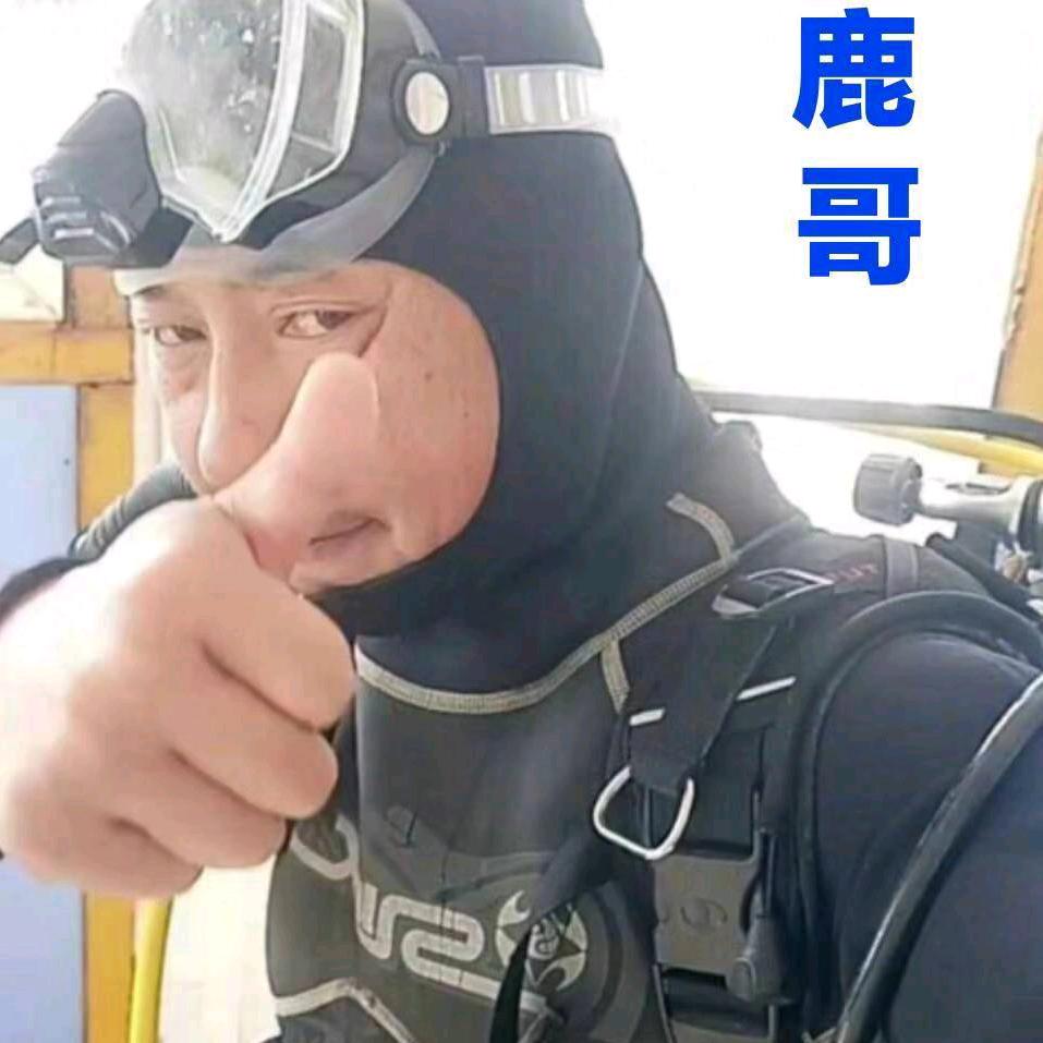 潜水员鹿哥