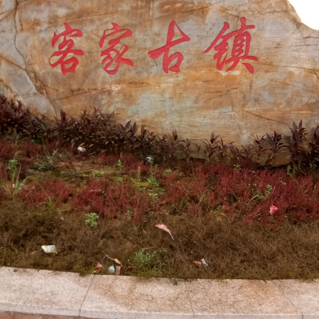 虎哥