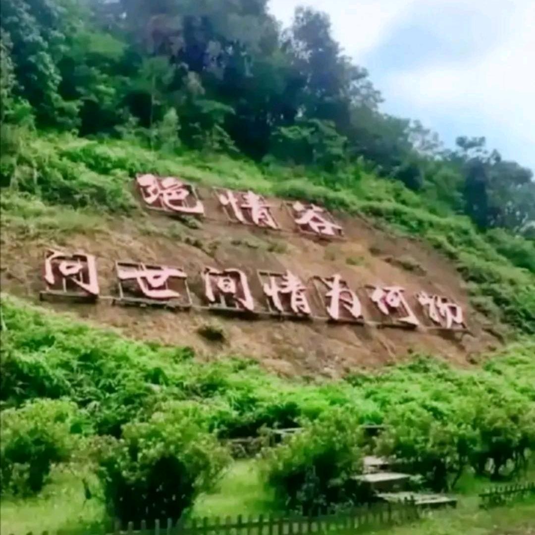 往事不堪回首