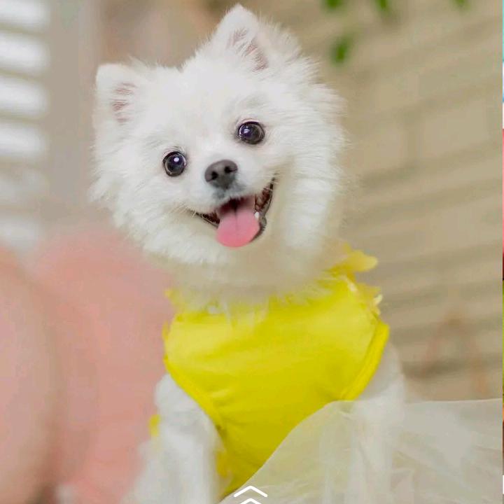 笑囗常开…心⺀…一∴、灬灬⺍?㚒⺀