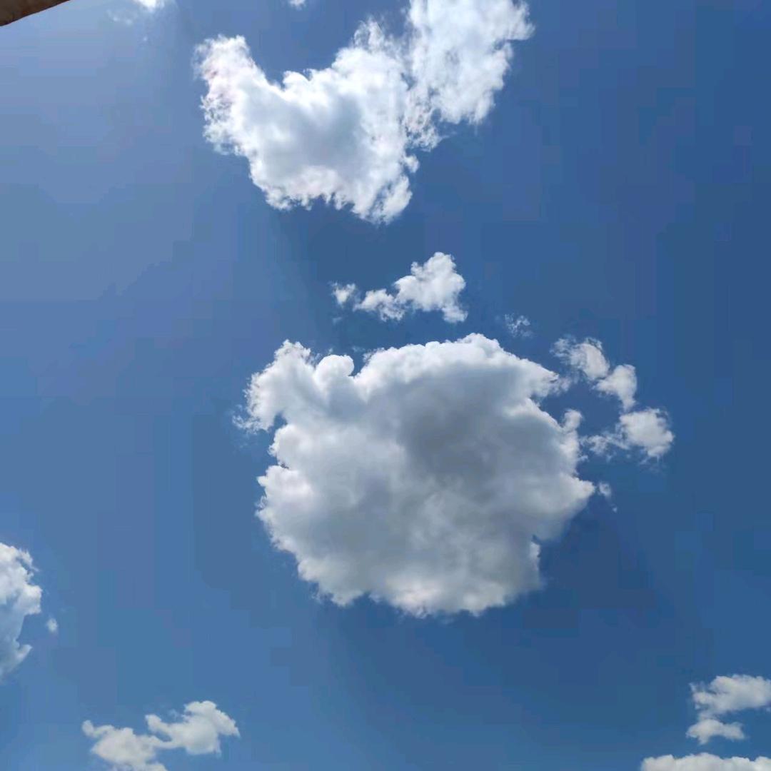 顽石