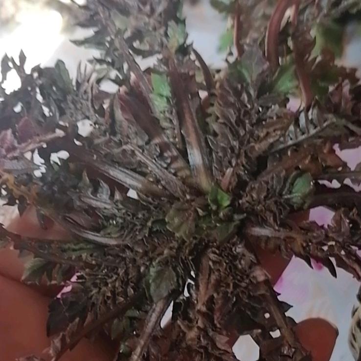 一生有你