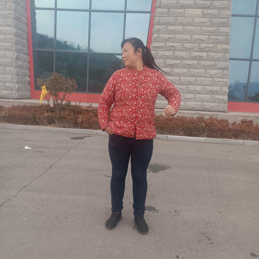 临朐县金盈中草药种植专业合作社