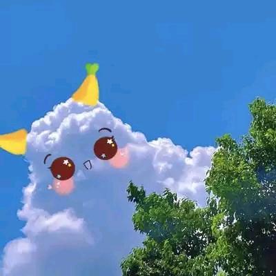 团购达人