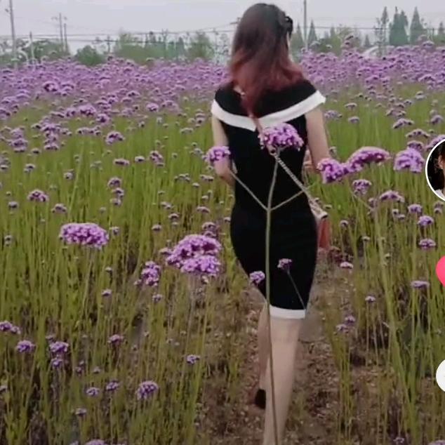 香飘飘巜拒绝私聊》