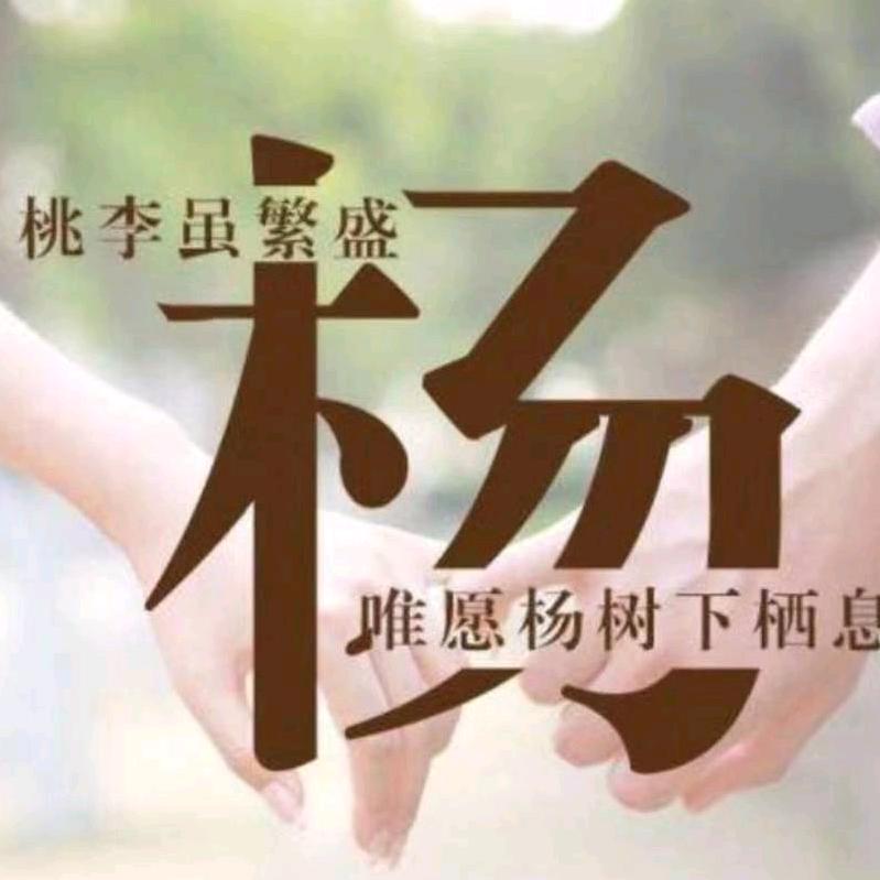 自由飞翔