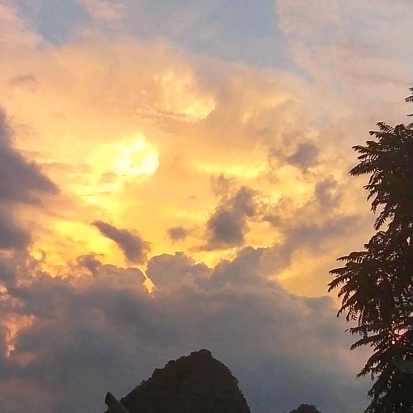 太无知