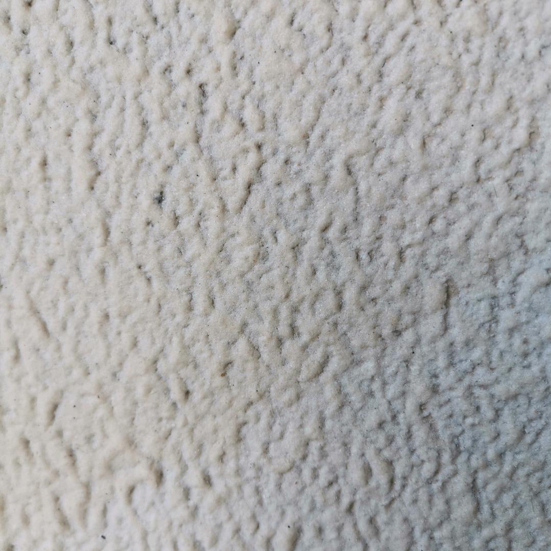 红豆杉