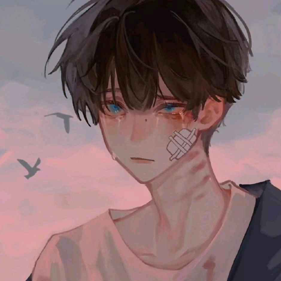 四季常青树（🌟🍐🐟🚗）