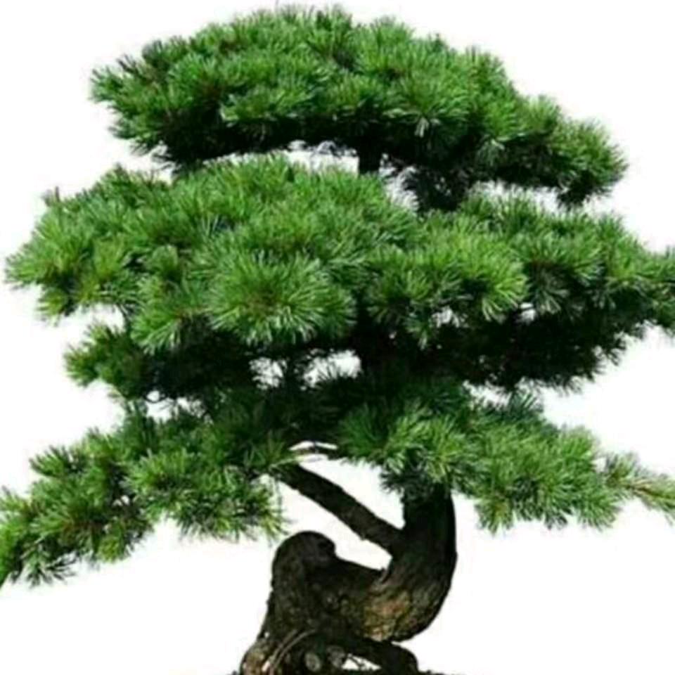 何正继19078603788