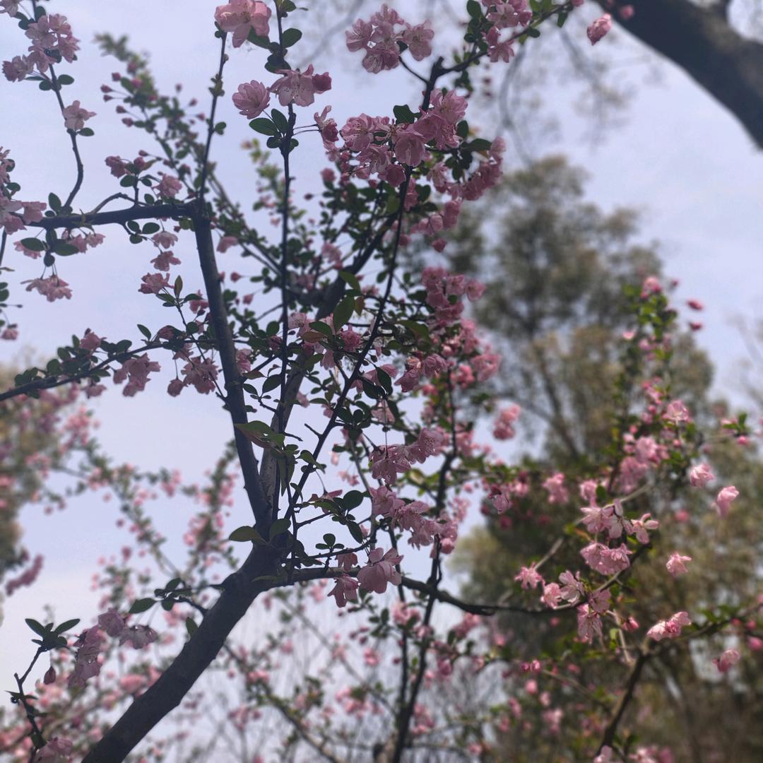互不相欠