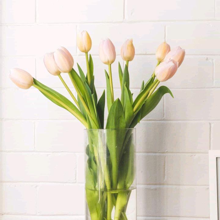 🌾🌾未来可期🌹🌻🌼🌼🌻