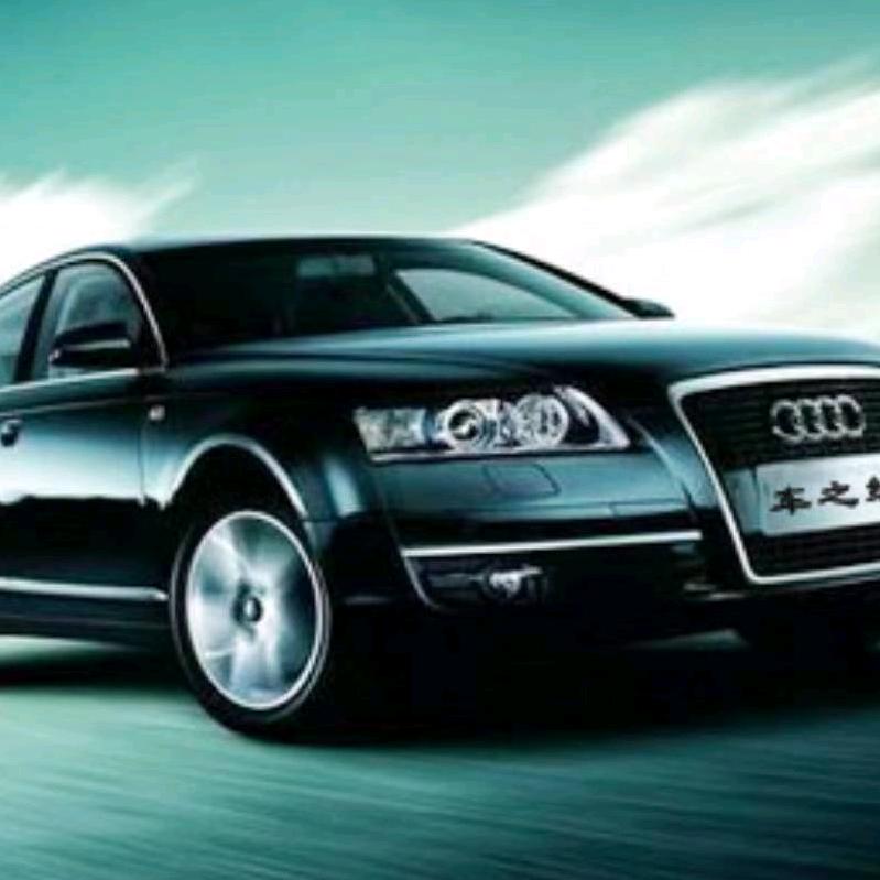 一鸣惊人(陈郸)