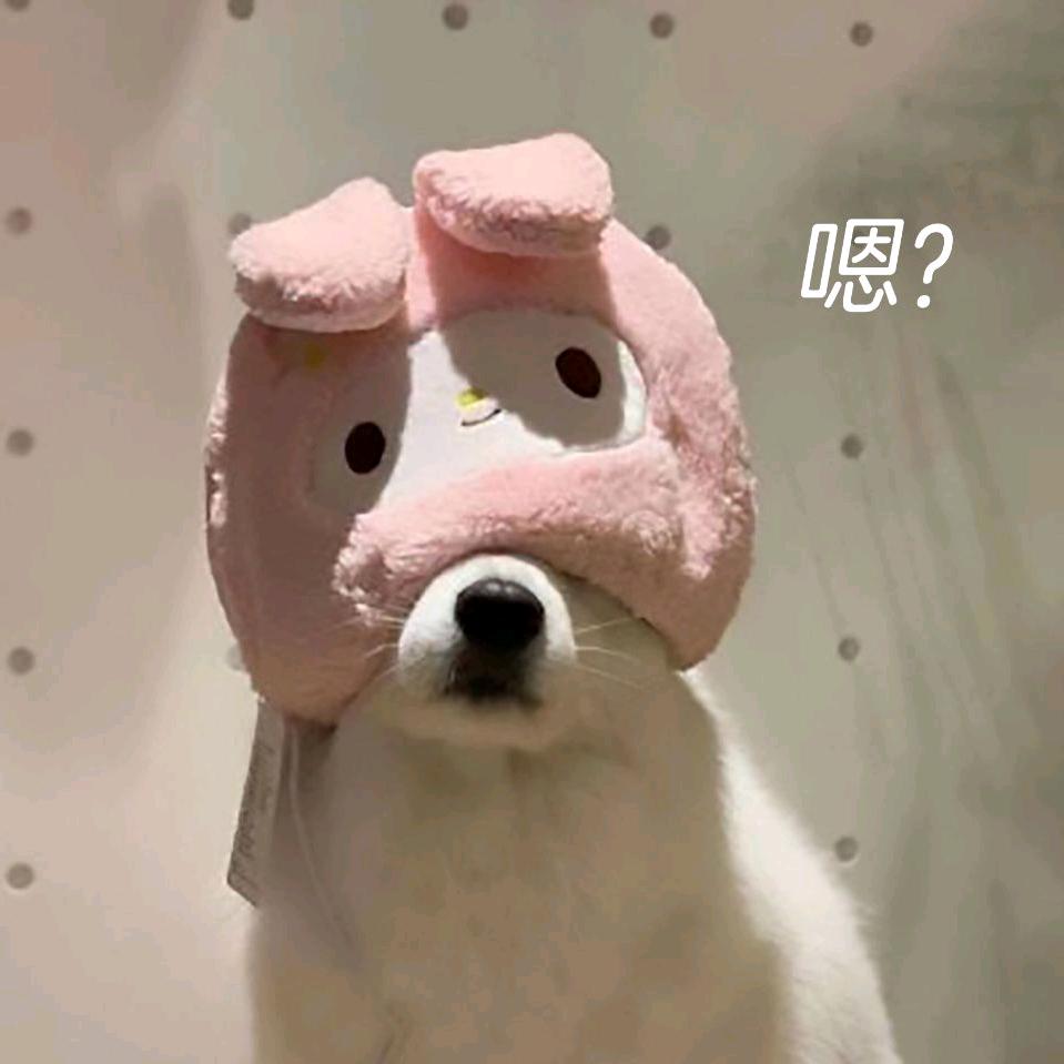 局内人.