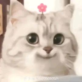 排骨炖豆角