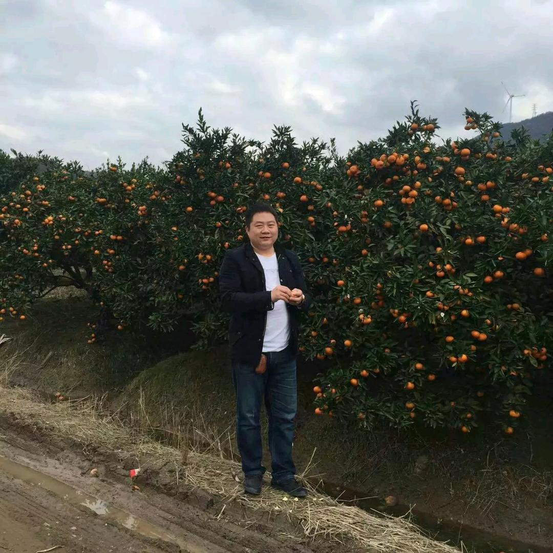 西安市临潼区金兆御膳餐饮店