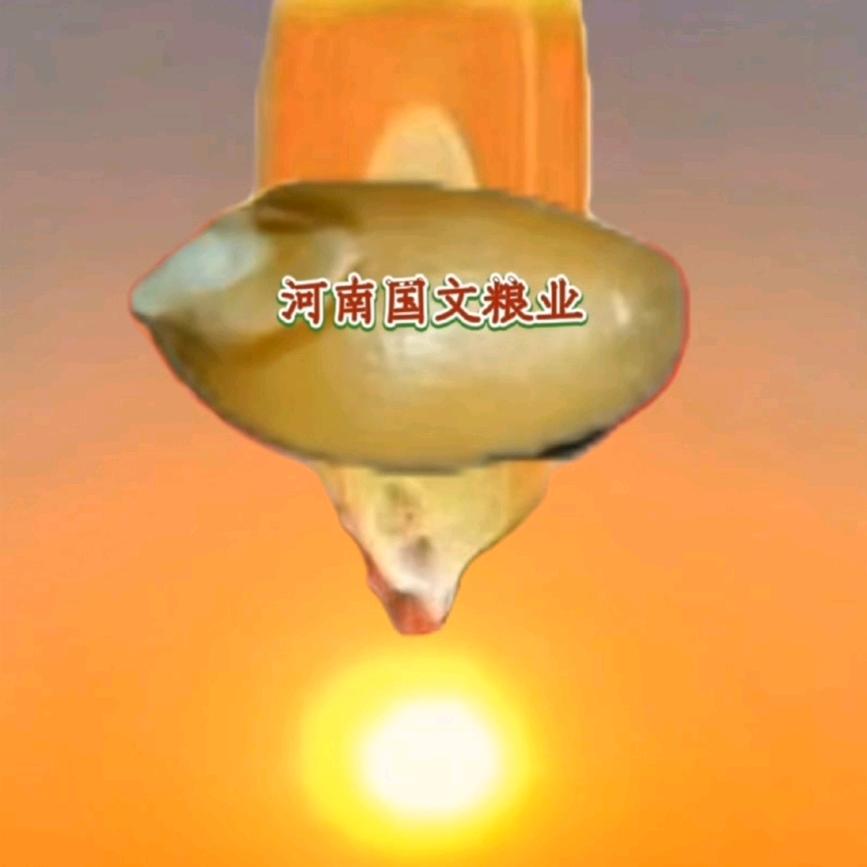 唐河国文农业