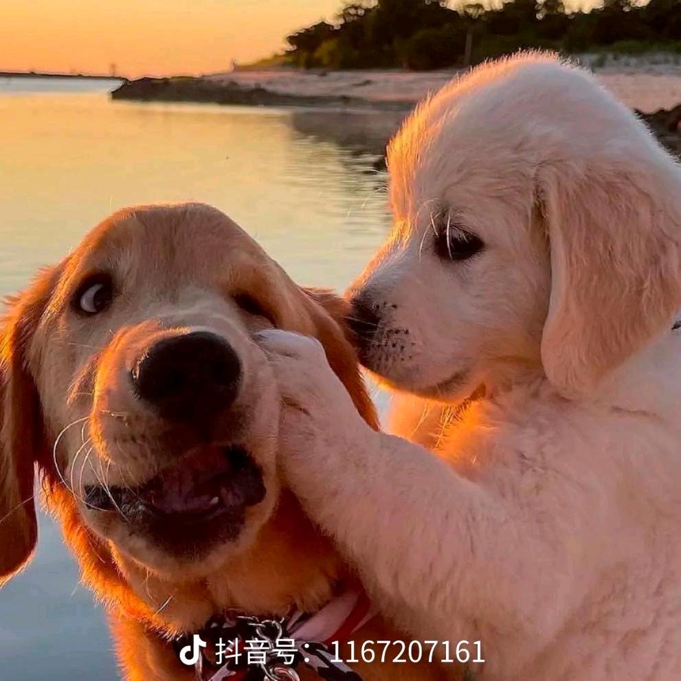 微尘~