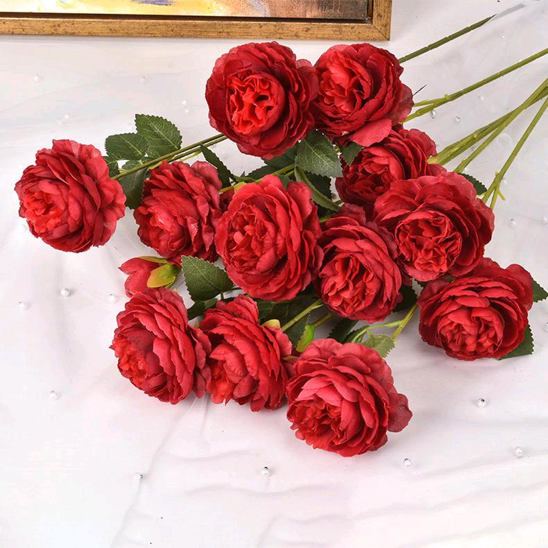🌹带刺的玫瑰