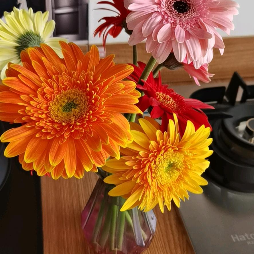 喜乐🌷🌷安康