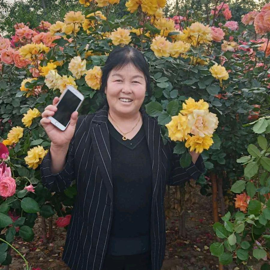 富平县易经文化研究中心