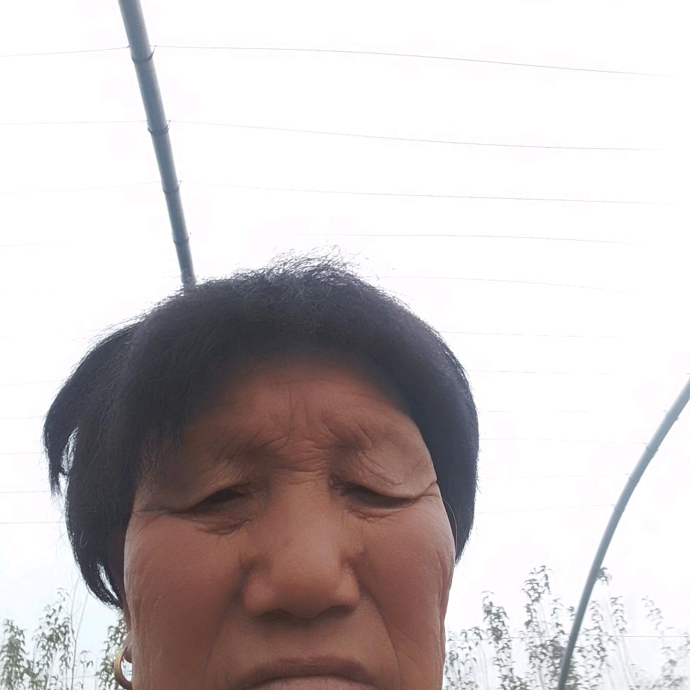 韩玉侠