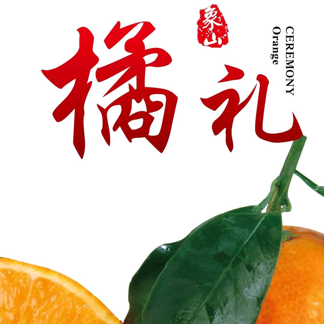 象山橘礼·晓塘任氏红美人（橱窗有橘）