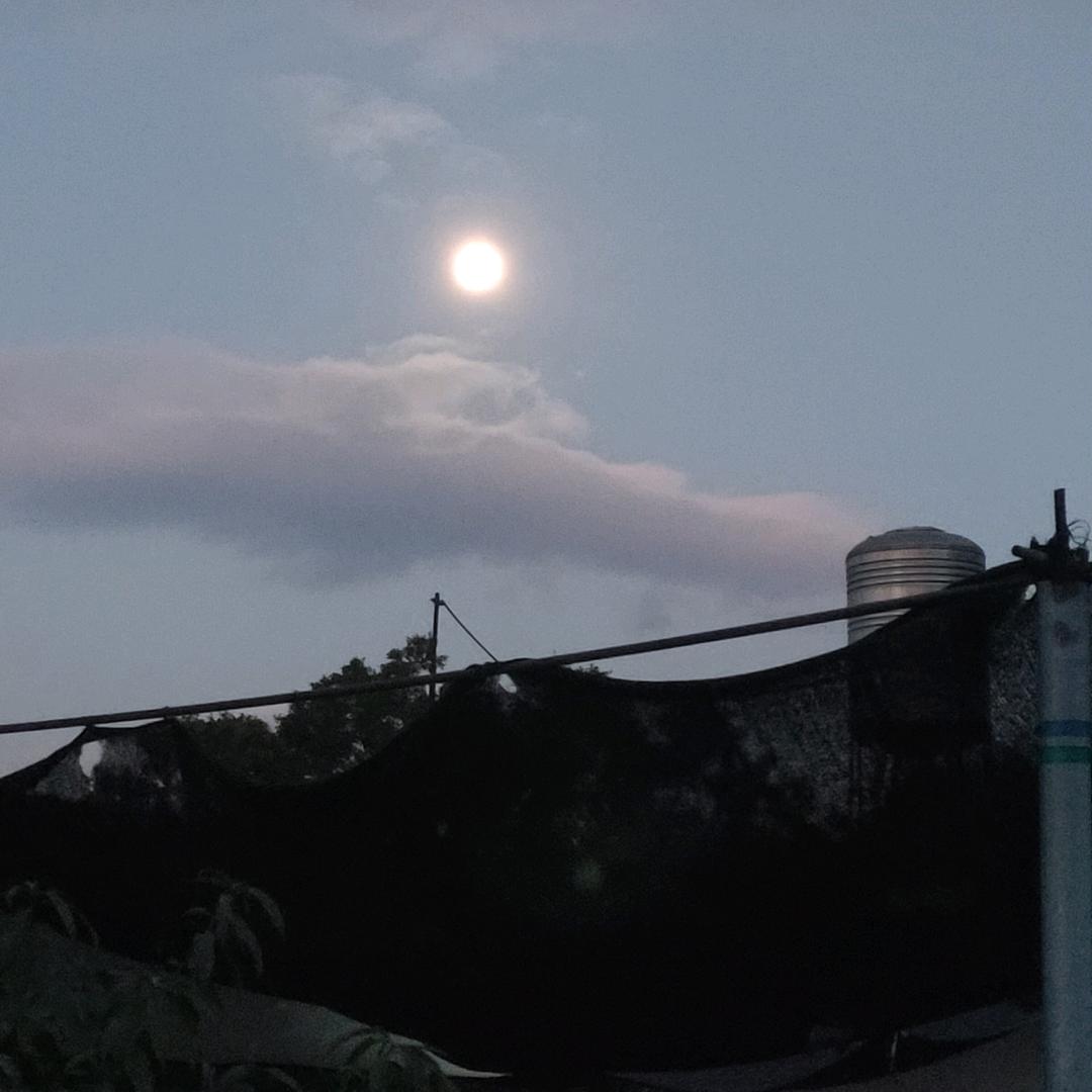 胡家兄弟