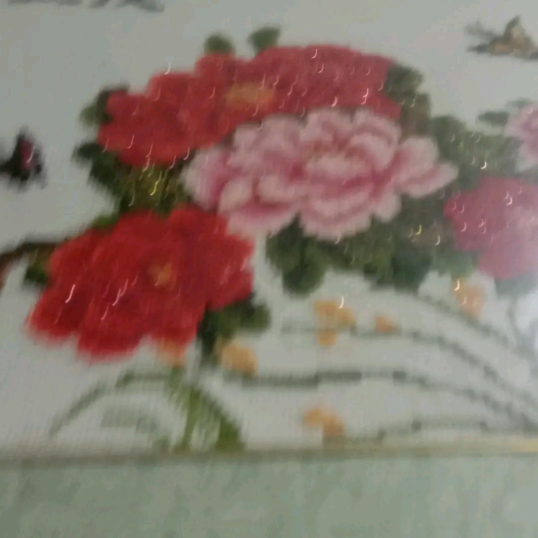 朵朵