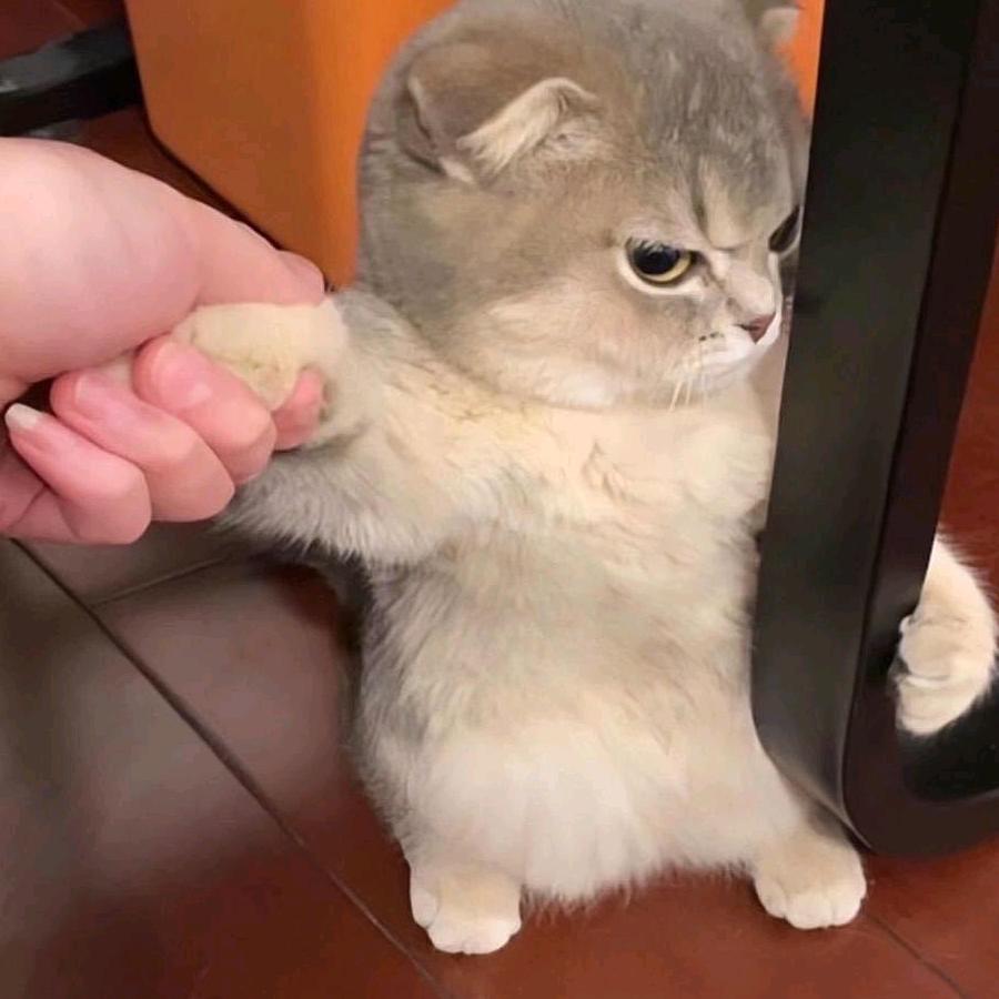 青云，