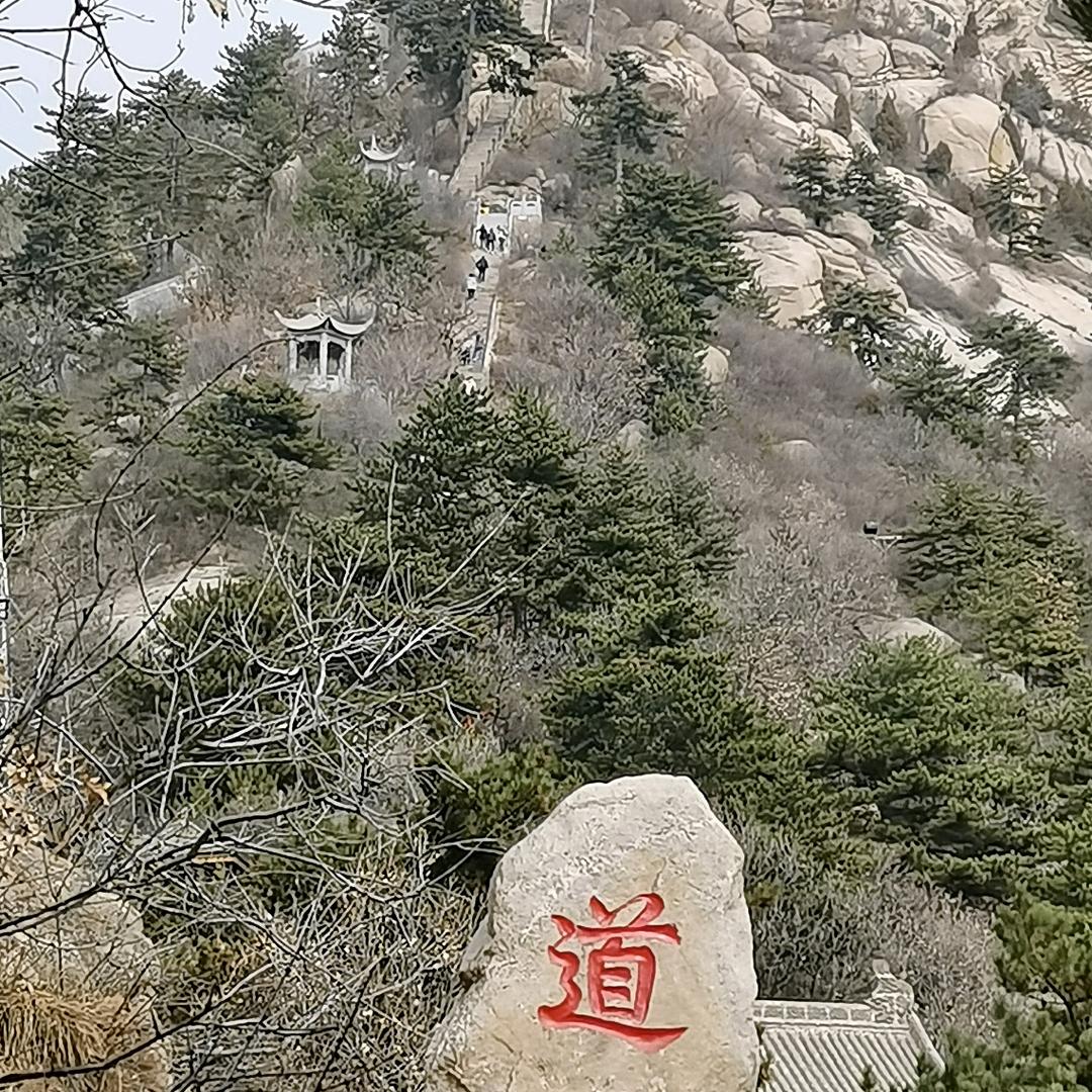 没钞疯