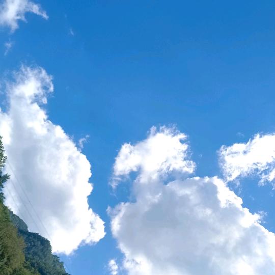 小老虎🐅