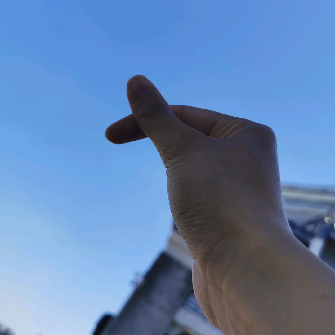 爱吃鱼的小鱼儿🐠