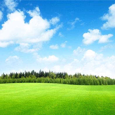 ChenQin（2023.3.19）