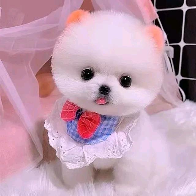 #阳光笑脸
