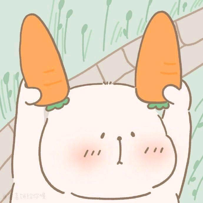 呆呆兔