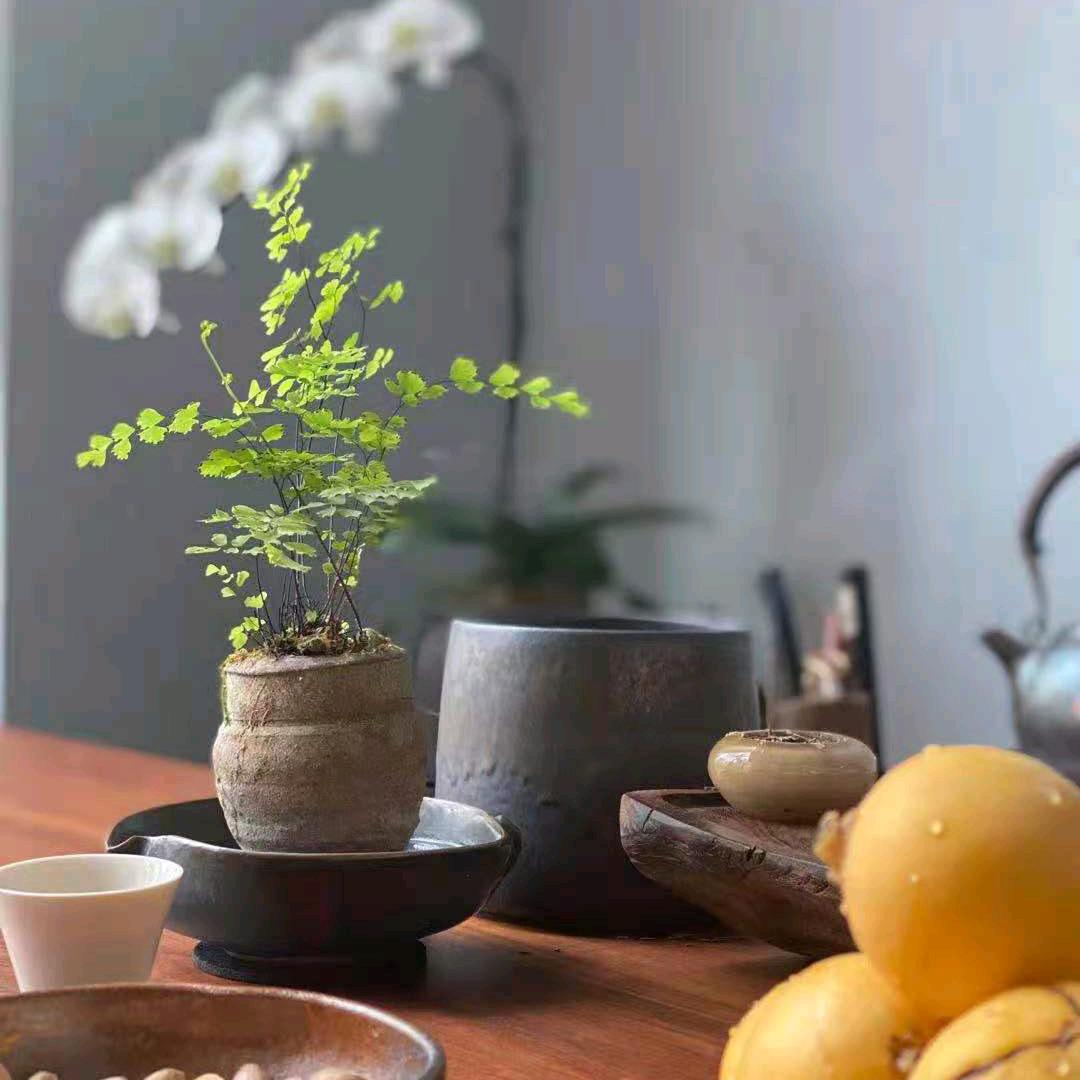 渲妍花坊