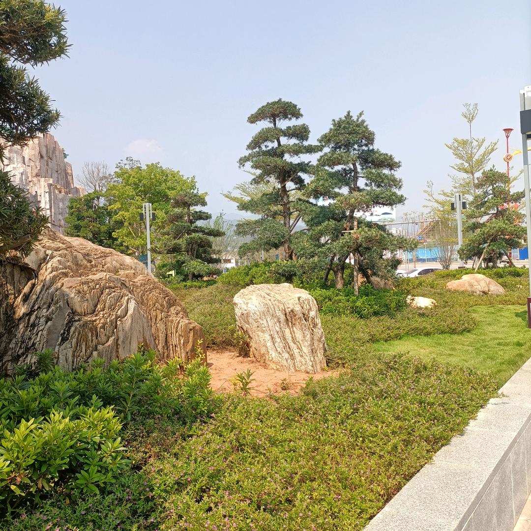 忘了她，我挖土养你