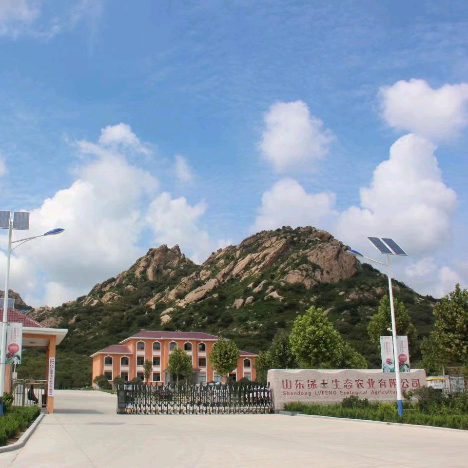 果汁工厂爱樱维樱桃汁孙兆喜