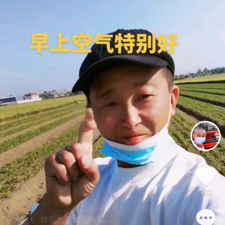 建华白术种植基地