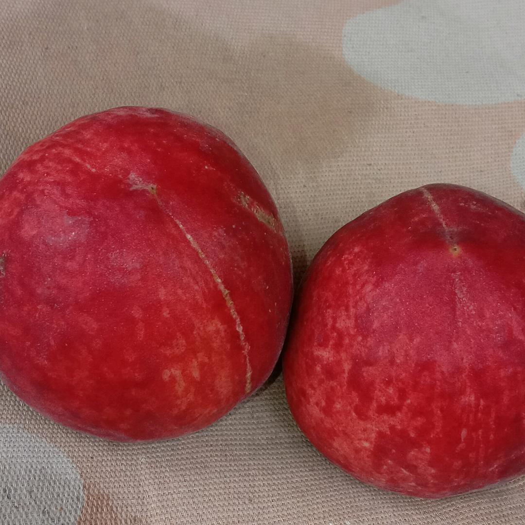 看这里，太阳升起